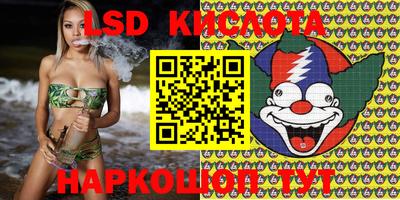 твердый Можга