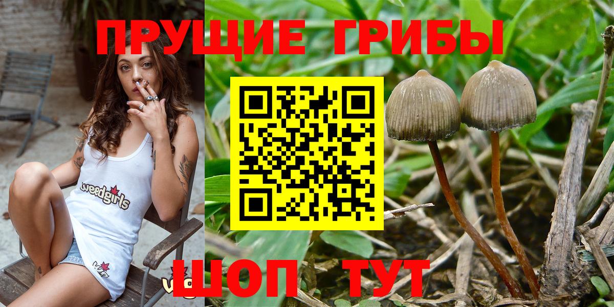 Псилоцибиновые грибы MAGIC MUSHROOMS Сосновый Бор