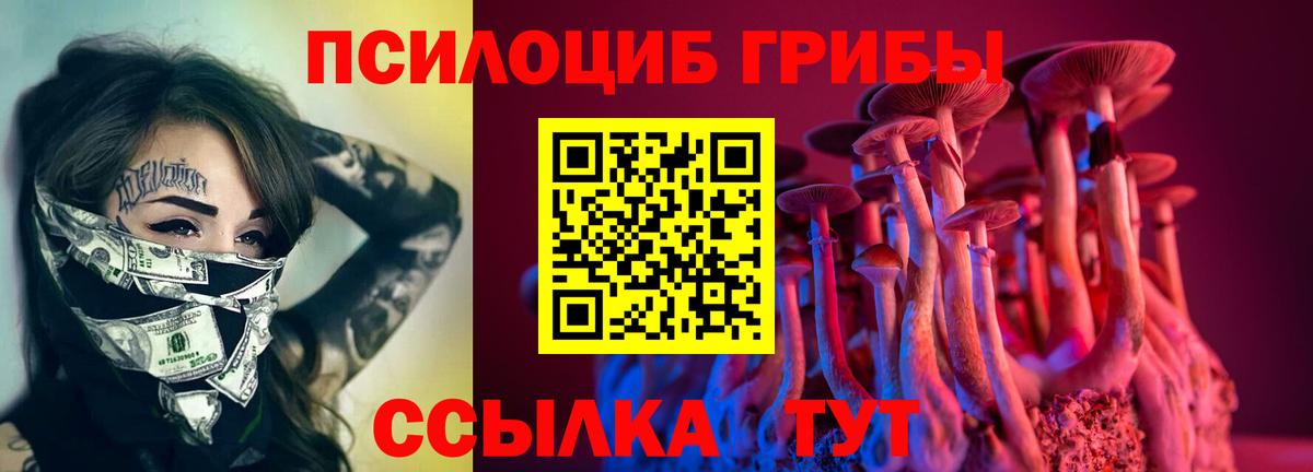 Сосновый Бор  Галлюциногенные грибы мицелий  Вход с VPN 